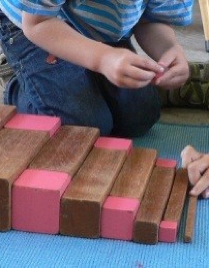 MontessorischoolXWageningenXOBXrozeXtorenXenXbruineXtrap