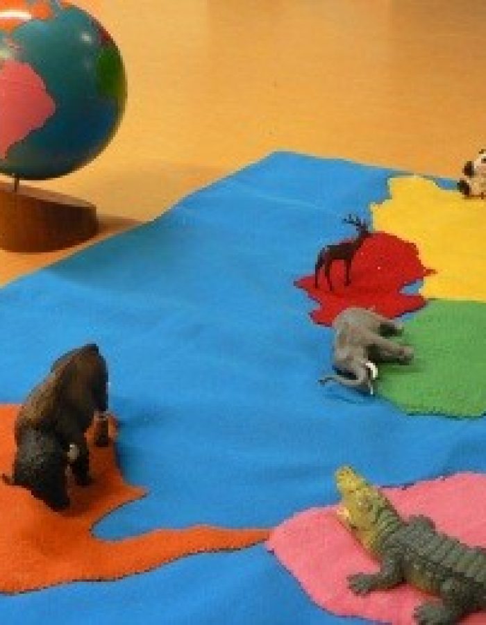 MontessorischoolXWageningenXOBXwerelddelen